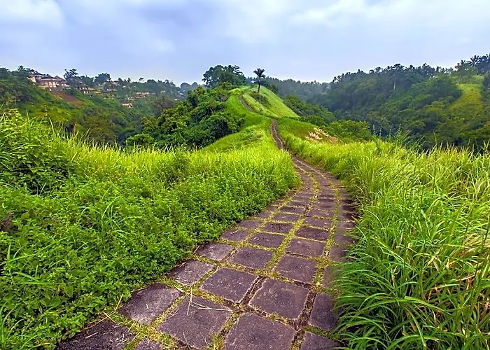 Villa Peaceful 4 Bedroom Rice Field View *
